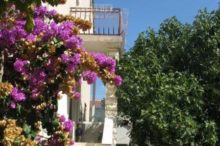 Appartements Jelka  – foto 9