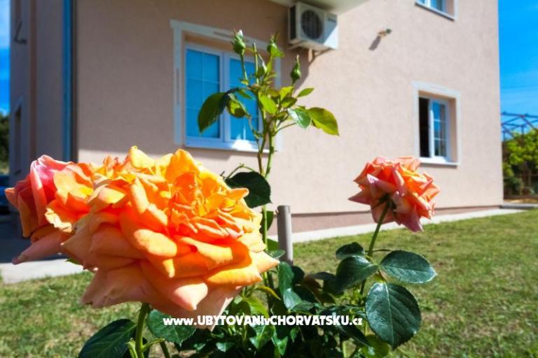 Appartements Sea view – foto 2