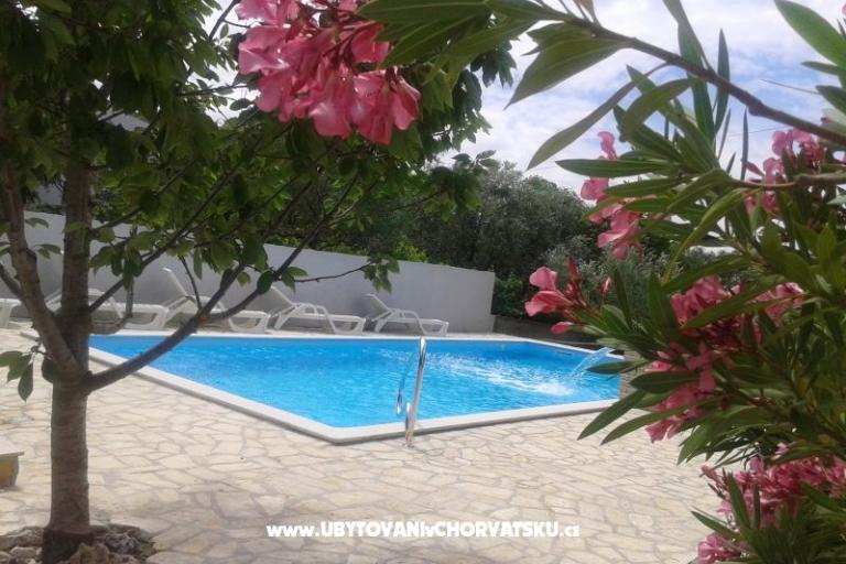 Dva labuda – foto 2