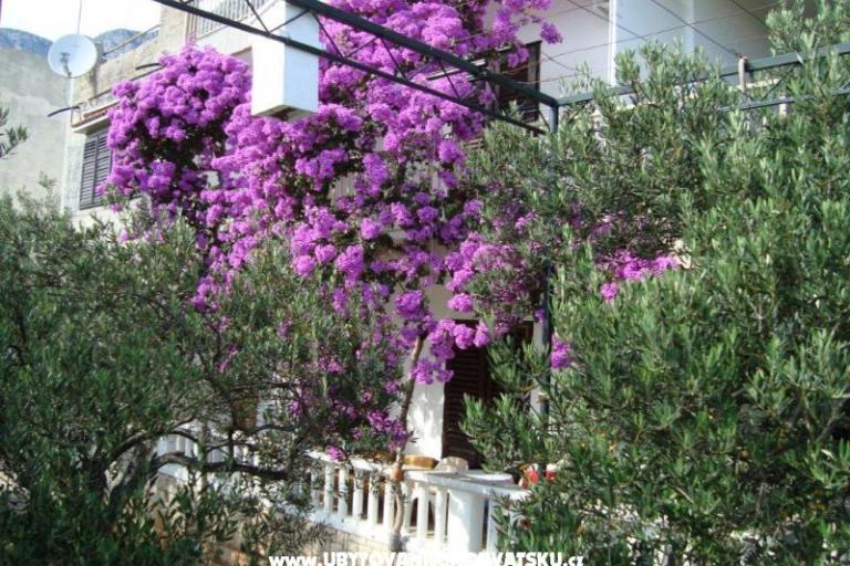 Appartement Gradac Falak – foto 13