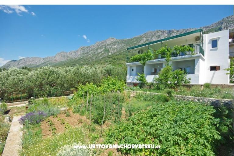 Appartements i sobe Maslina – foto 12