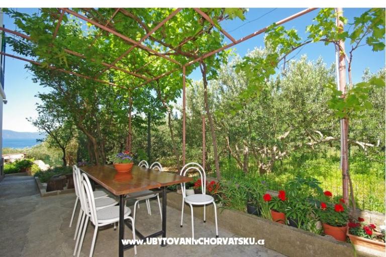 Appartements i sobe Maslina – foto 16