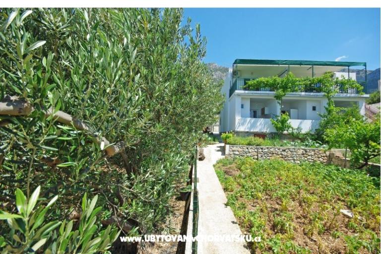 Appartements i sobe Maslina – foto 9