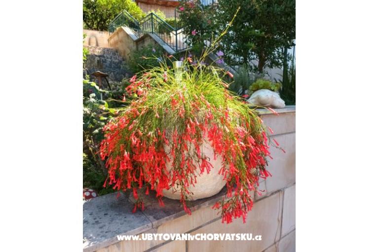 Appartements Ivana  – foto 19