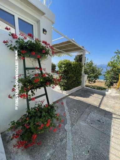 Appartements Mimoza – foto 14