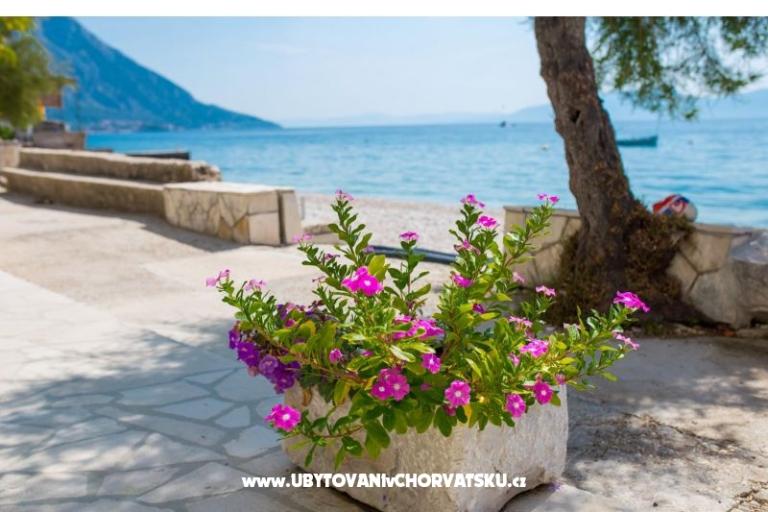 Appartements Mira – foto 14