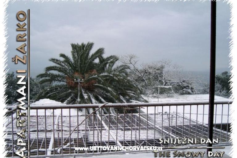 Appartements Žarko – foto 17