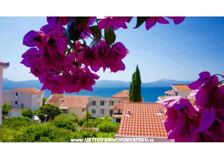 Appartements Jerković Gradac – foto 7