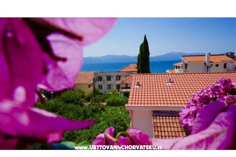 Appartements Jerković Gradac – foto 8
