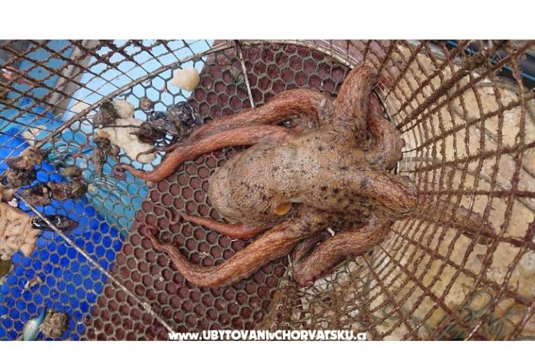 Appartement Toth – foto 14