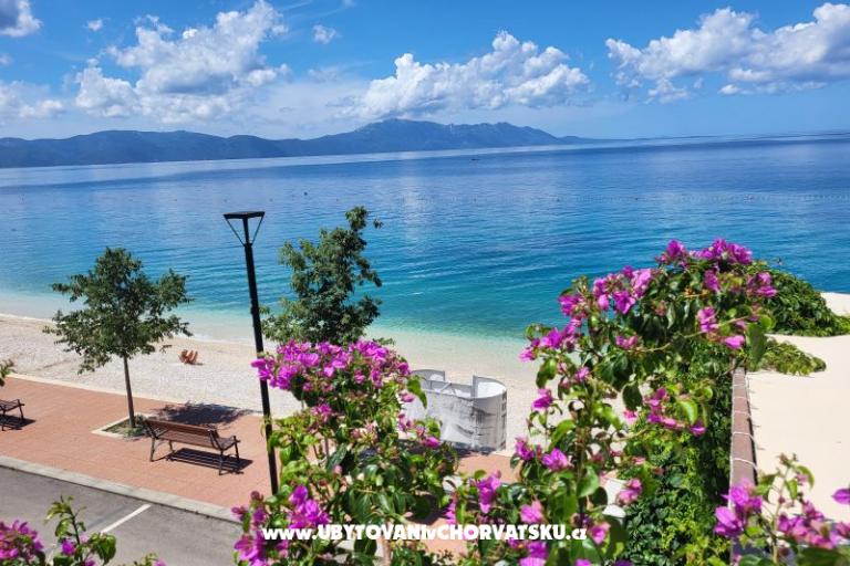 RADELIĆ studio apartmani i sobe – foto 10