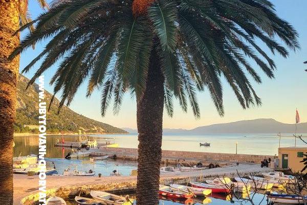 RADELIĆ studio apartmani i sobe – foto 11