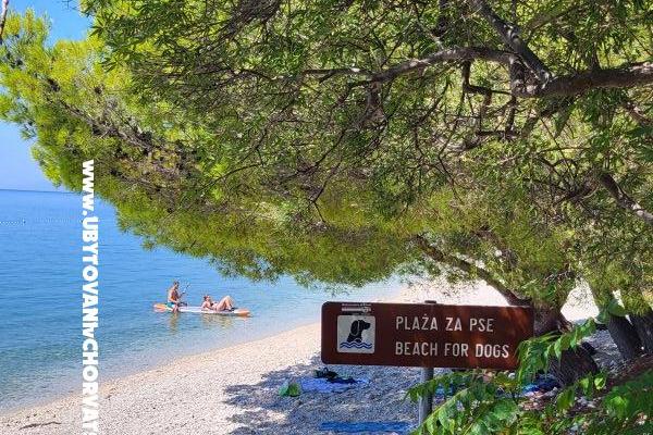 RADELIĆ studio apartmani i sobe – foto 13