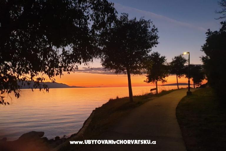 RADELIĆ studio apartmani i sobe – foto 18