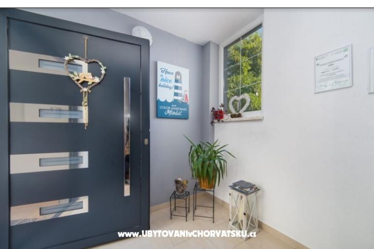 Color Appartements Miošić – foto 8