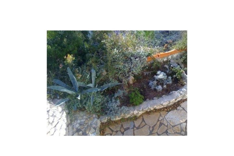 Dijana Beach Maison – foto 15