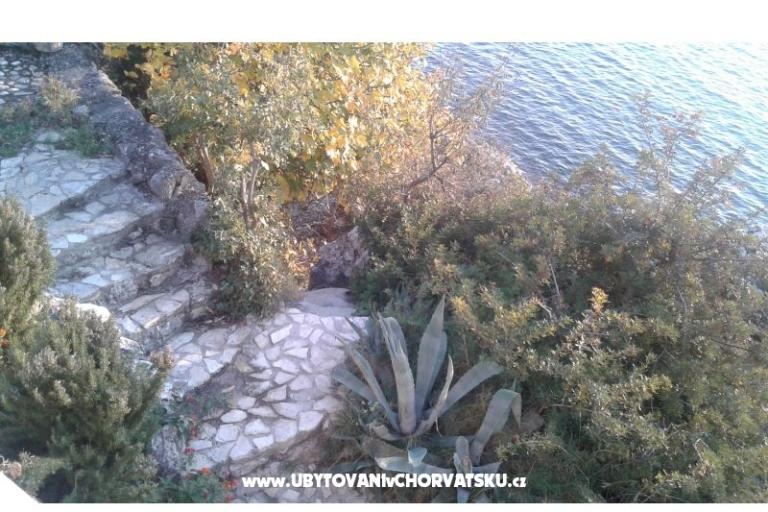 Dijana Beach Maison – foto 7