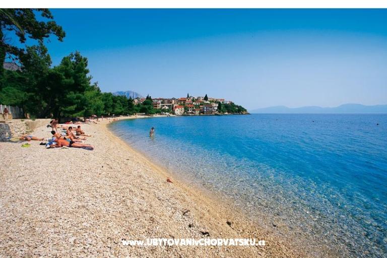 Goga – foto 18