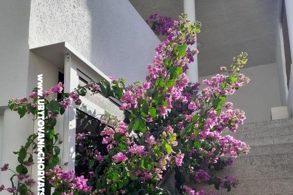 Chambres Katja Gradac center – foto 18