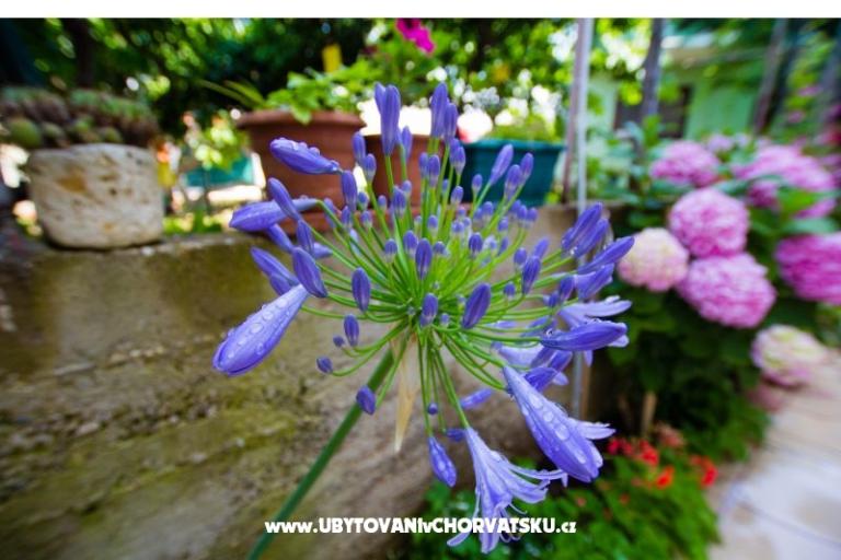 Appartements Bartul – foto 16