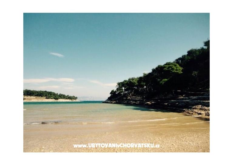 Appartements Belić  – foto 16