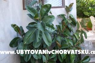 Appartements Račić – foto 7