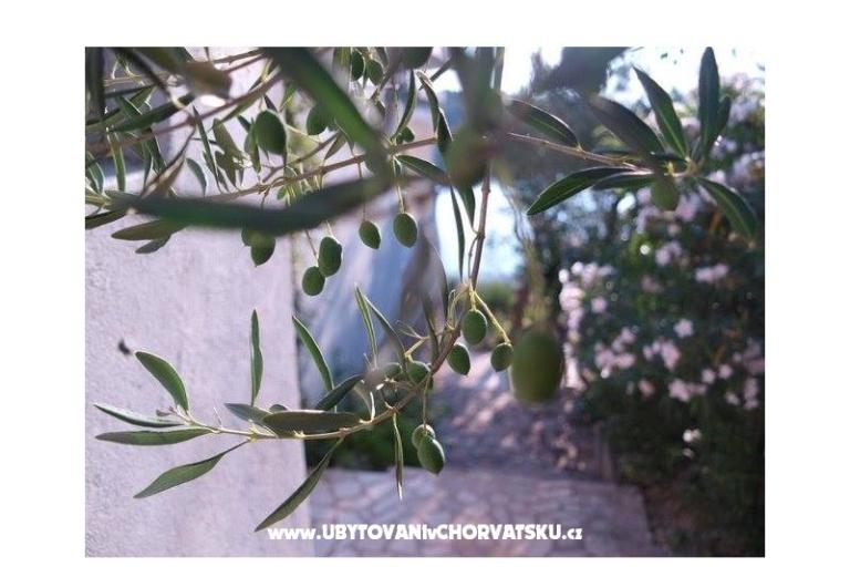 Appartements Stipišić – foto 6