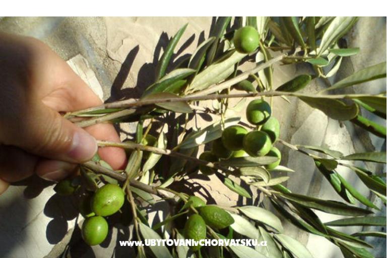 Appartements  Mate Slavic – foto 31