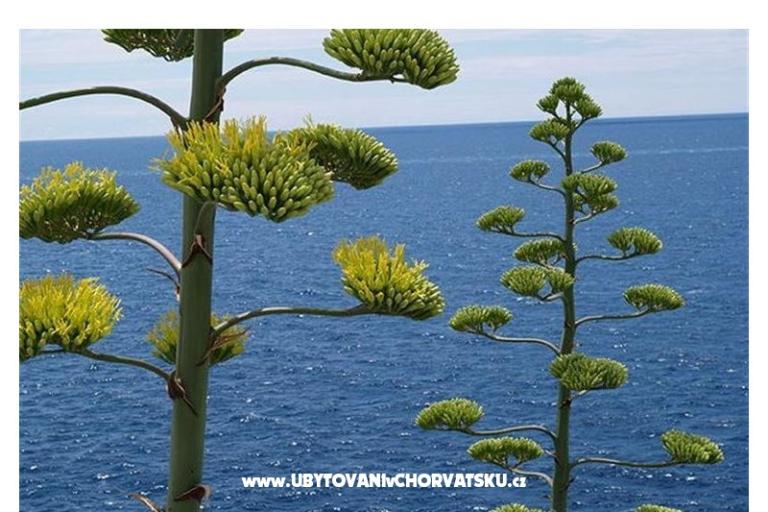 Appartements Bogović – foto 17