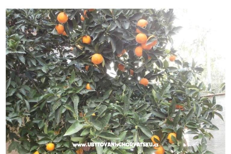 Appartements Bogović – foto 18