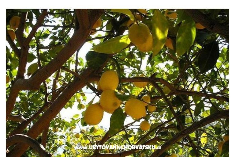 Appartements Bogović – foto 19