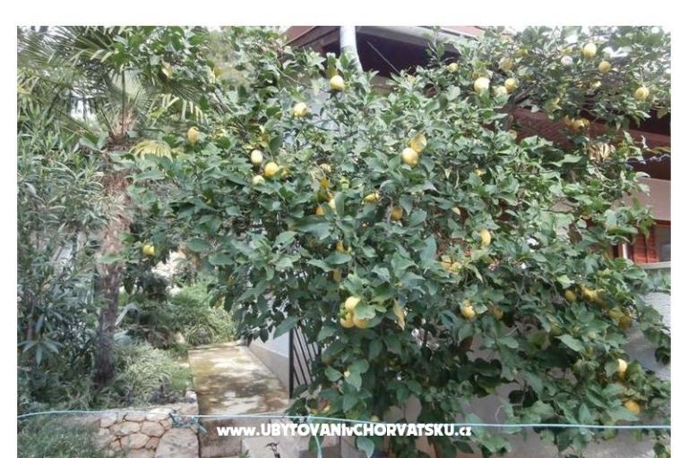 Appartements Bogović – foto 20