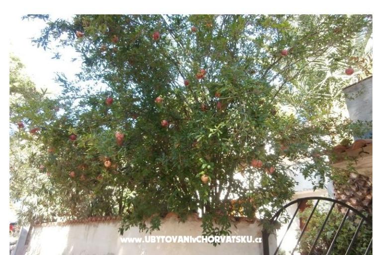 Appartements Bogović – foto 22