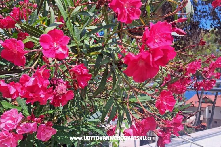 Appartements Bogović – foto 25