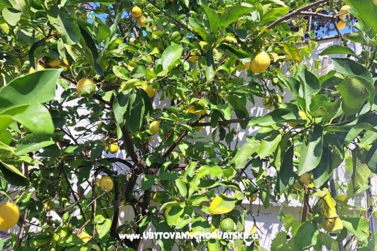 Appartements Bogović – foto 26