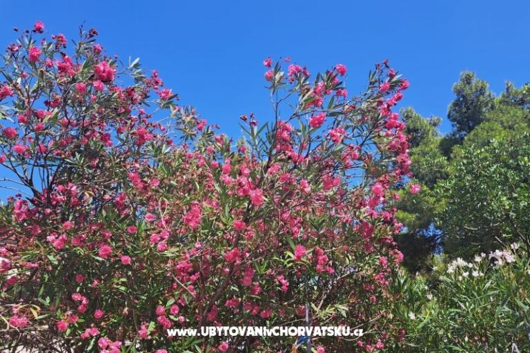 Appartements Bogović – foto 27