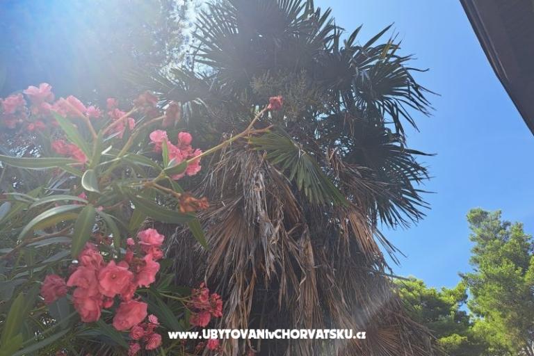 Appartements Bogović – foto 28