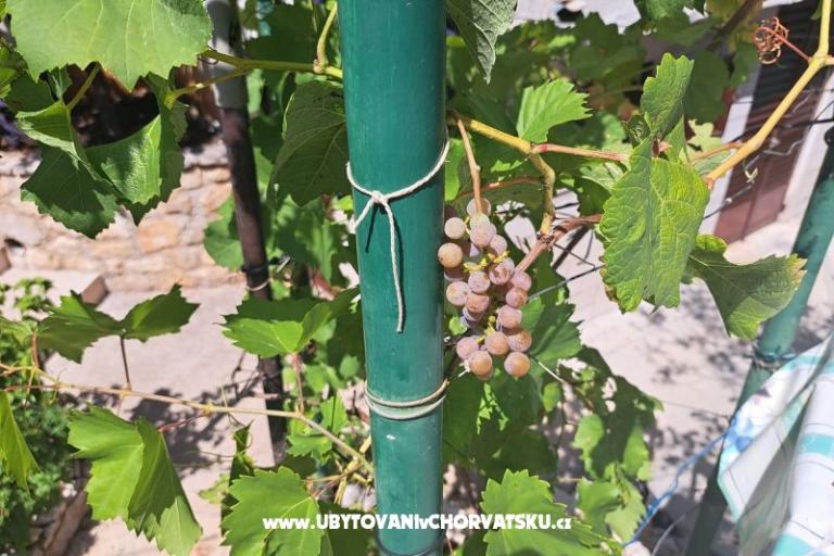 Appartements Bogović – foto 29