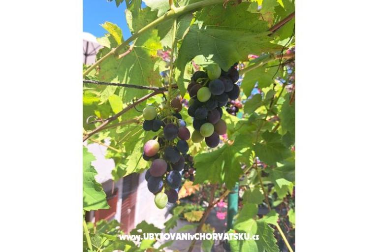 Appartements Bogović – foto 30