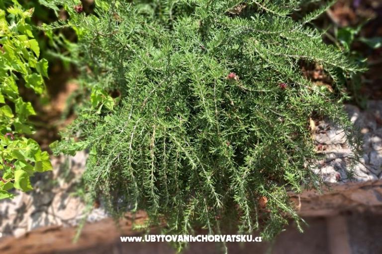 Appartements Bogović – foto 31