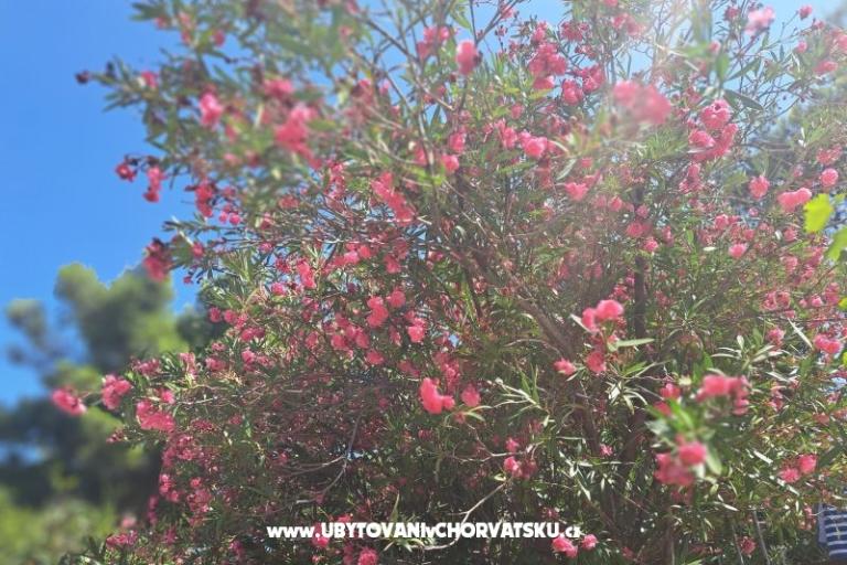 Appartements Bogović – foto 32