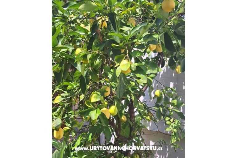 Appartements Bogović – foto 33