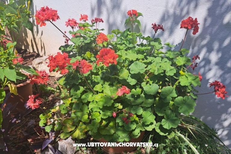 Appartements Bogović – foto 35