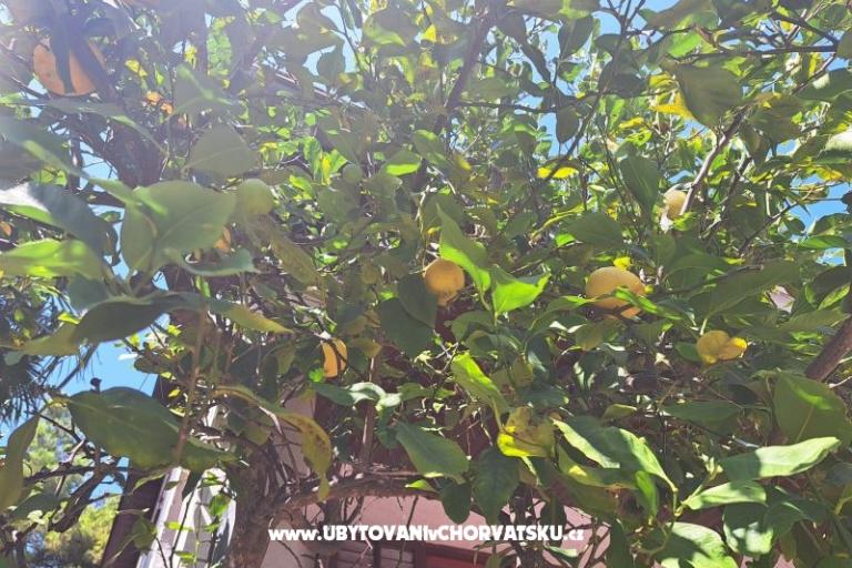 Appartements Bogović – foto 38