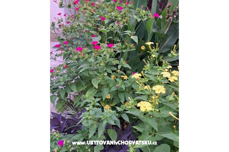 Appartements Bogović – foto 40