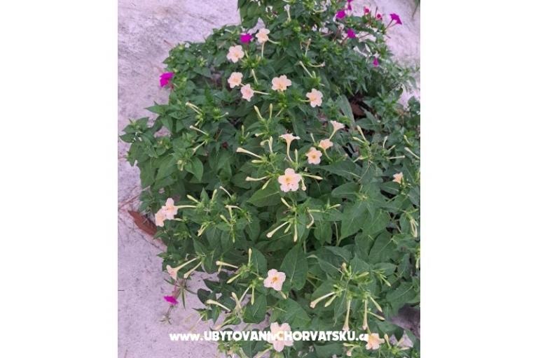 Appartements Bogović – foto 41