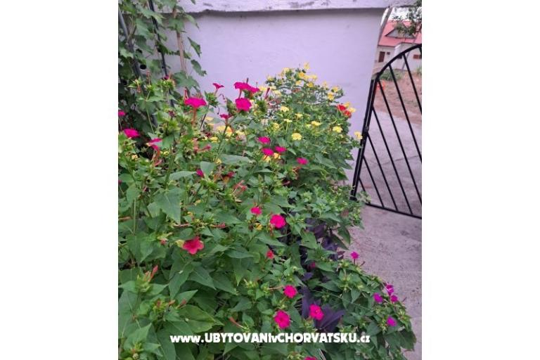 Appartements Bogović – foto 42