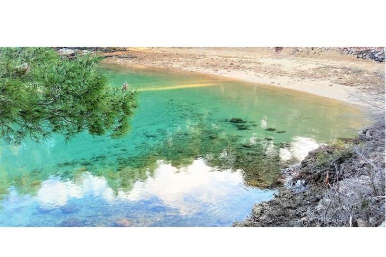 AppartementsNikolinaGrgicevic – foto 12