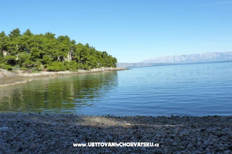 AppartementsNikolinaGrgicevic – foto 7