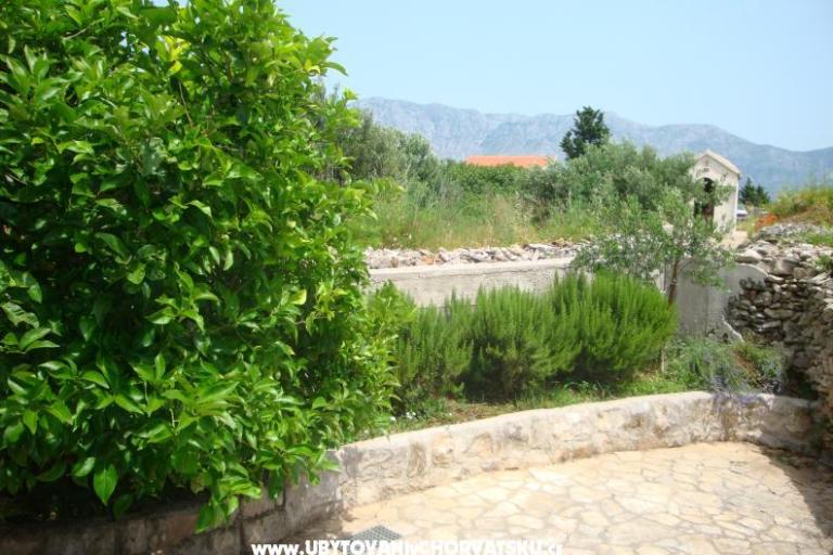 Maison Jadranka – foto 14